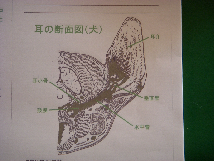 T.N（ミカ）様　ご支援、ありがとうございます！！