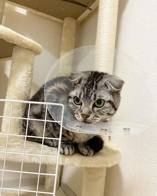 2023.6.22🔥 #闘病生活 65日目🔥