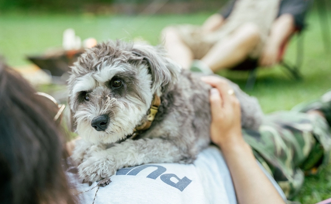 ひじきがんばれ！リターンなし２