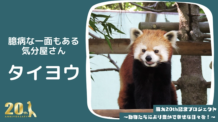 風太20th記念プロジェクト～動物たちにより豊かで幸せな日々を！～ 7枚目