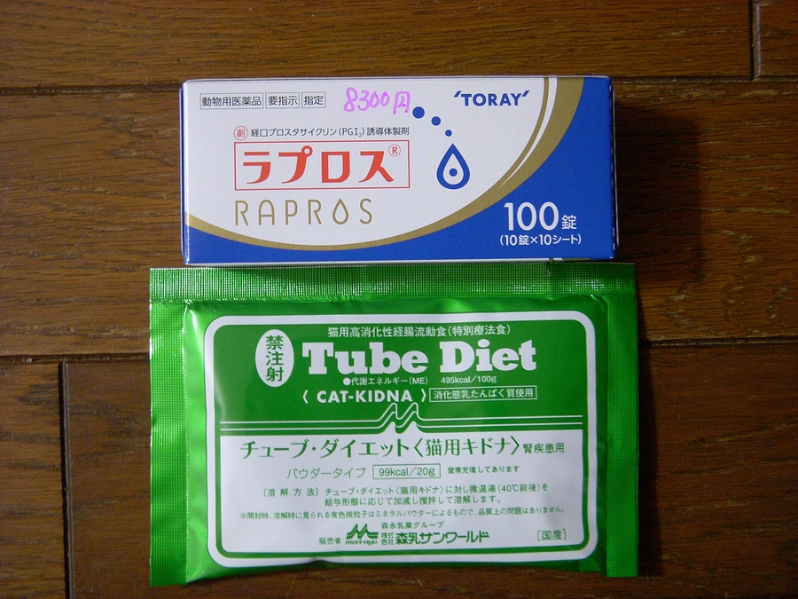 前の新着情報を読まれた支援者の方から　久しぶりにメールが届く