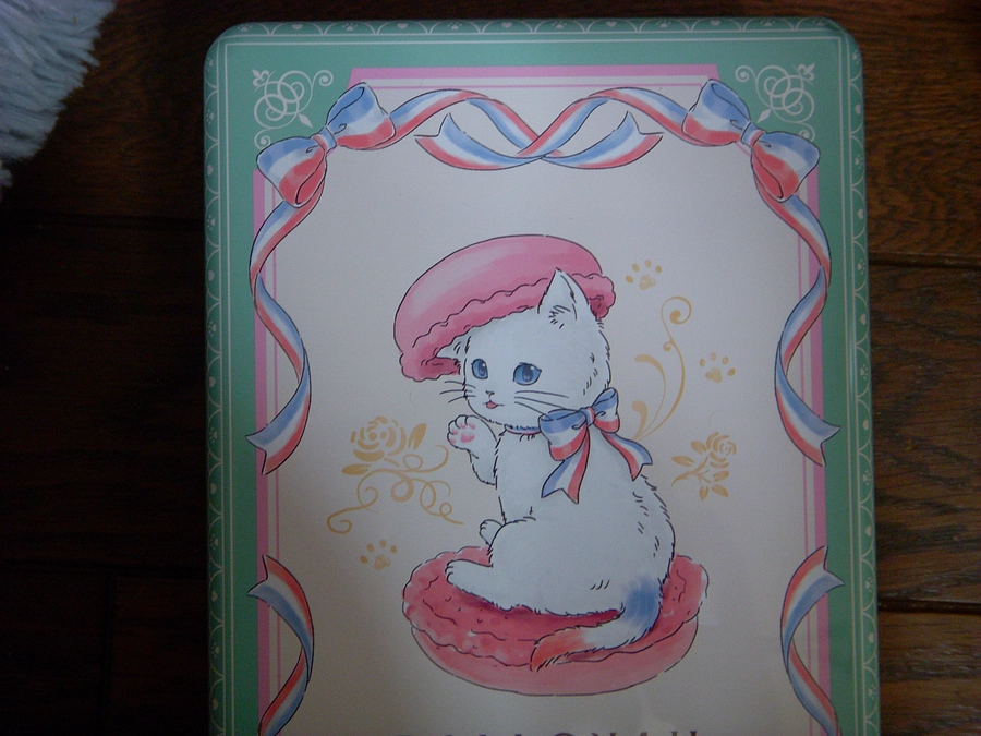 狂犬病ワクチンのシーズン到来💉