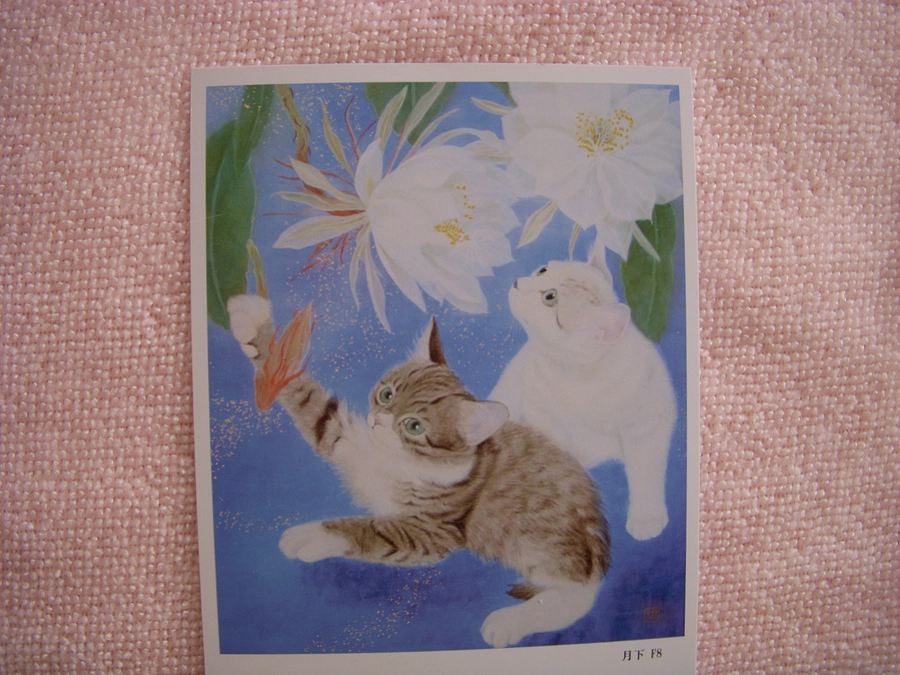 貧乏苦学生時代