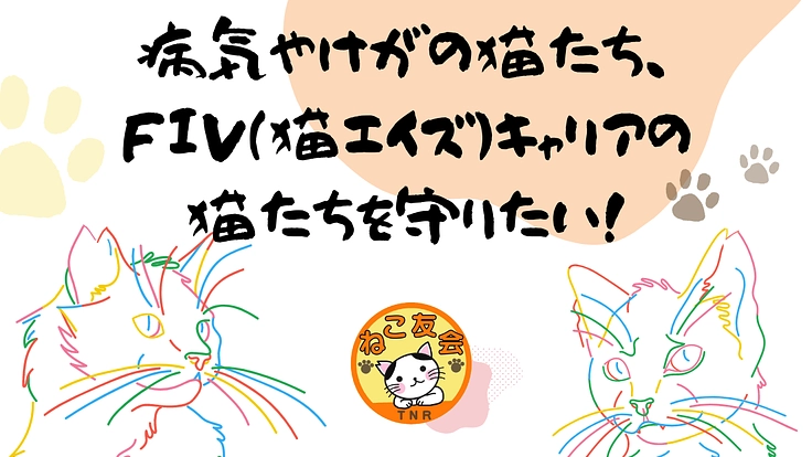 病気やけがの猫たち、FIV（猫エイズ）キャリアの猫たちを守りたい！