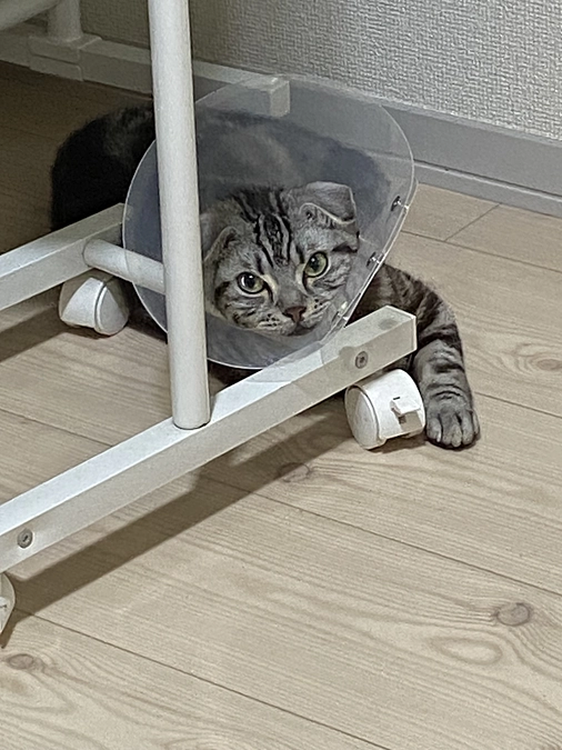 2023.6.26🔥 #闘病生活 69日目🔥