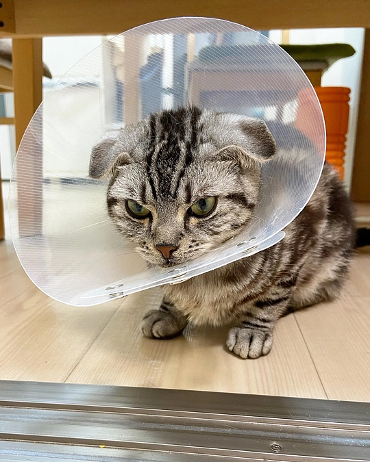 2023.6.27🔥 #闘病生活 70日目🔥