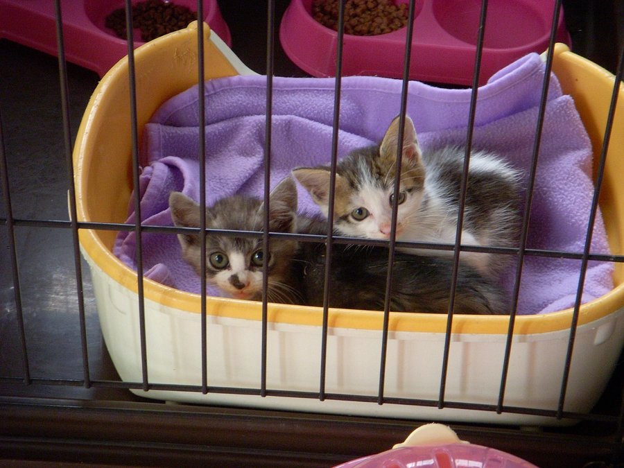 お家が決まりました！！