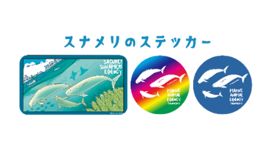 B | スナメリ調査応援コース