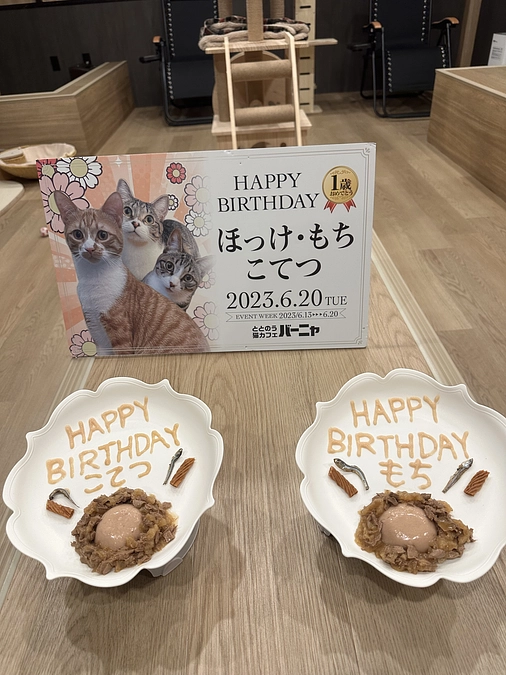とらちゃんエントリーを終えてご報告！ほっけ・もち・こてつ1歳のbirthday