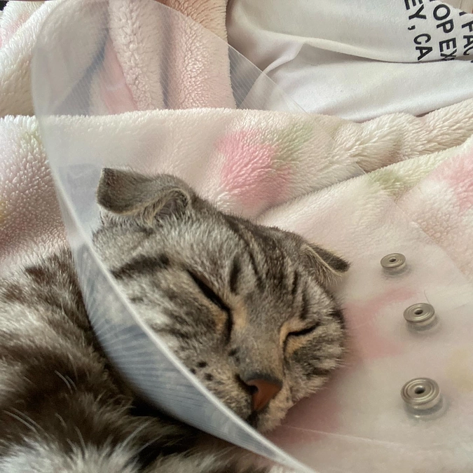 2023.6.28🔥 #闘病生活 71日目🔥