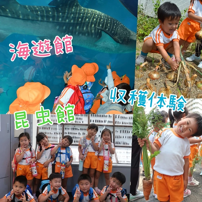 ☆幼稚班☆　生き物観察&収穫体験！