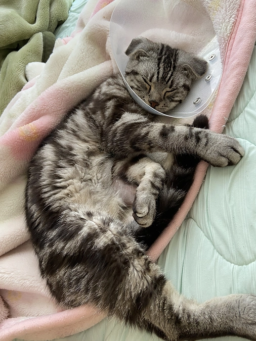 2023.6.29🔥 #闘病生活 72日目🔥