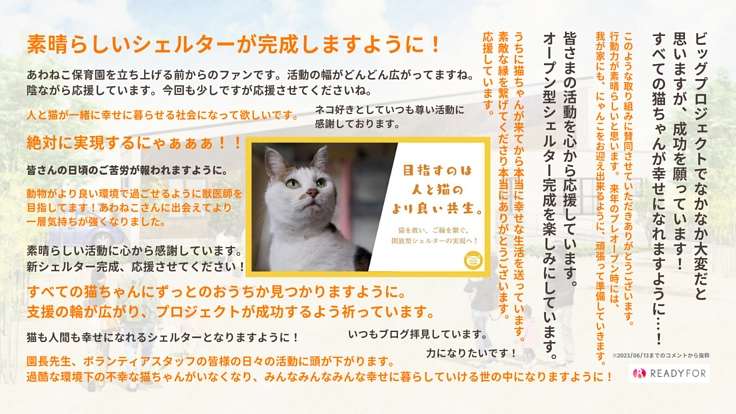 阿波の猫の殺処分ゼロを目指して。念願の開放型シェルター実現へ! 8枚目