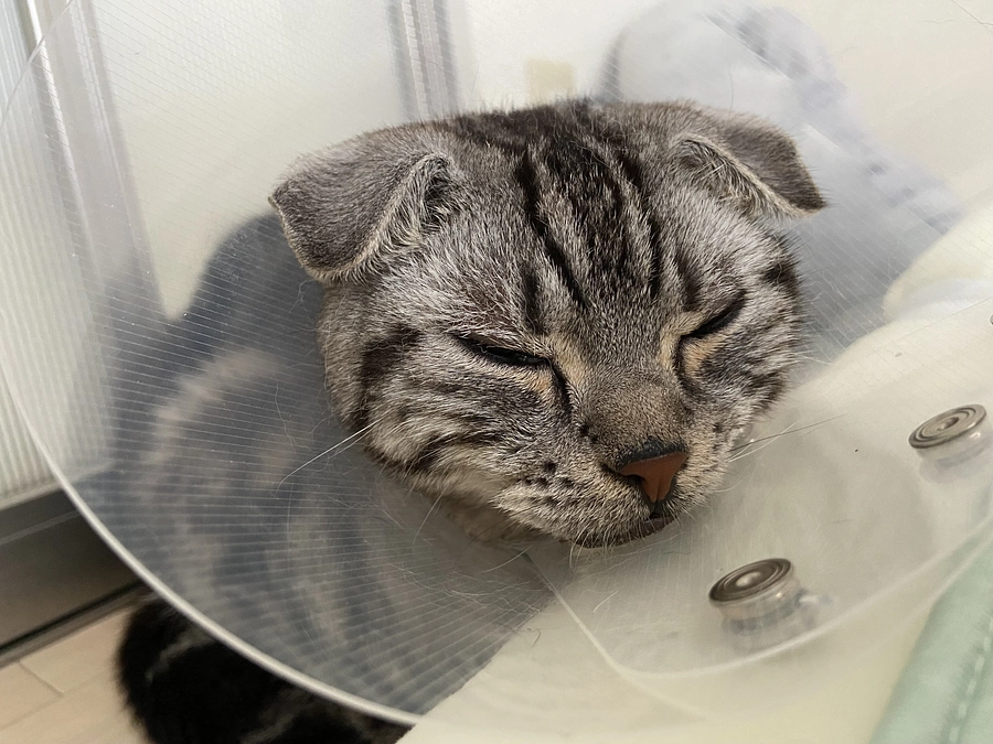 2023.6.30🔥 #闘病生活 73日目🔥