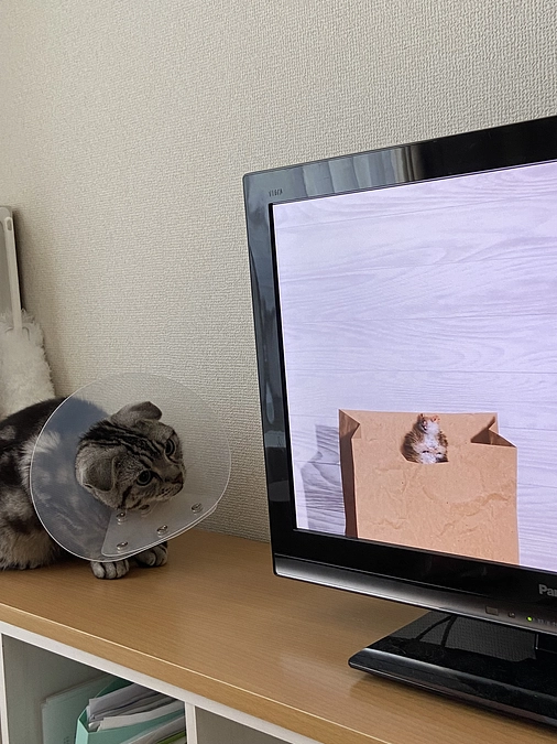 2023.6.25🔥 #闘病生活 68日目🔥