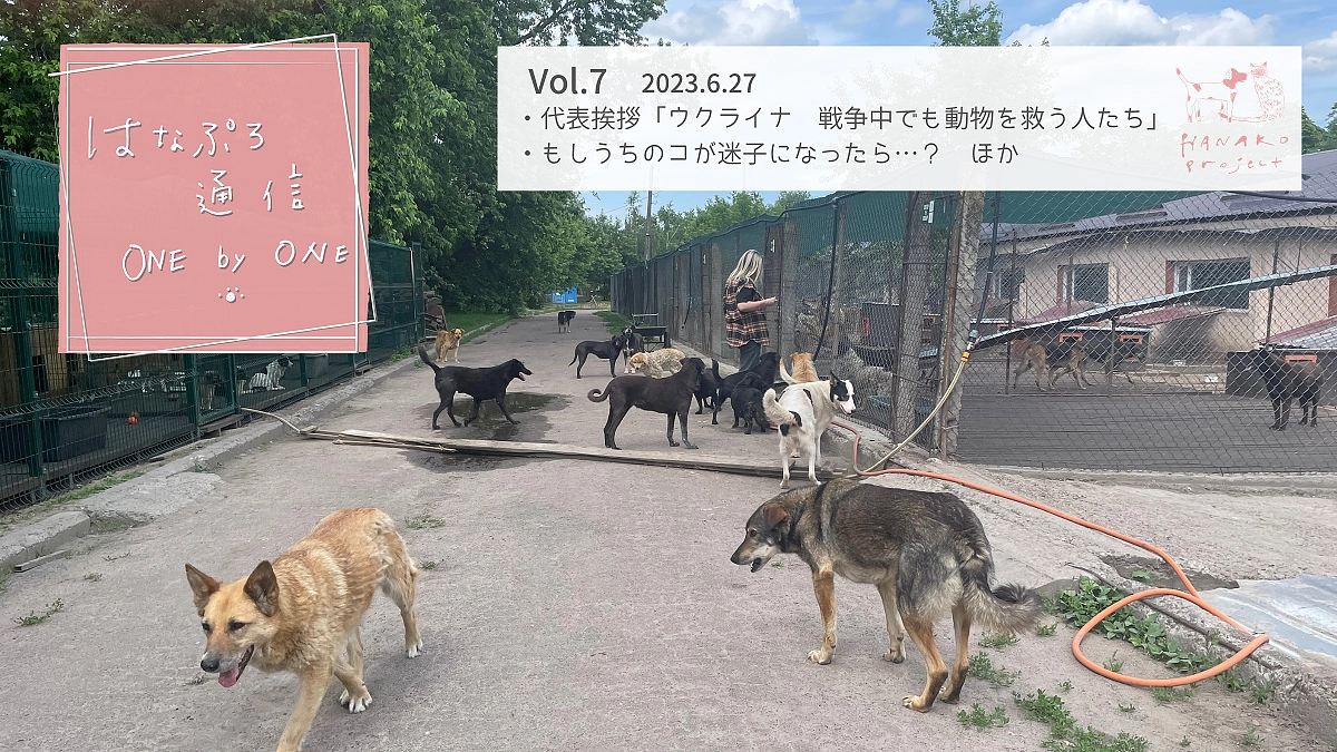 「はなぷろ通信 one by one 」Vol.７