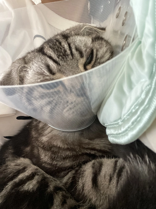 2023.7.5🔥　#闘病生活 78日目🔥