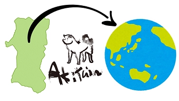 秋田犬を世界へ広めたい のトップ画像