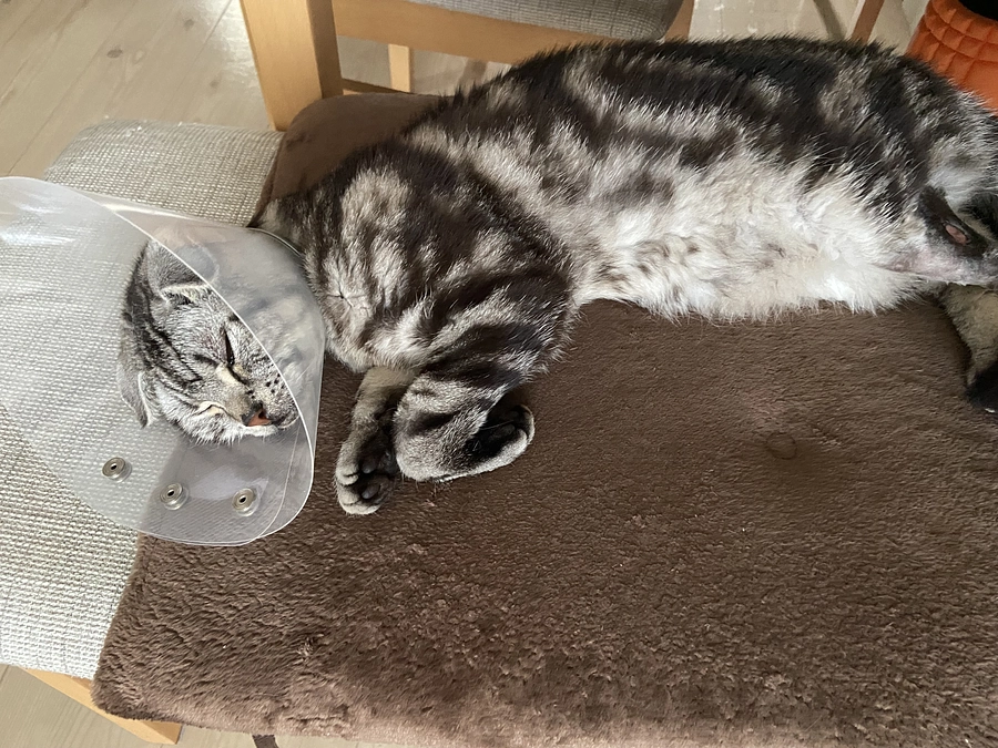 2023.7.6🔥　#闘病生活 79日目🔥