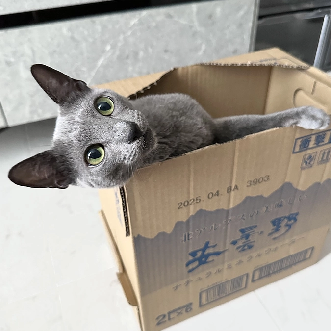 【残り9️⃣日💦】投薬73日目