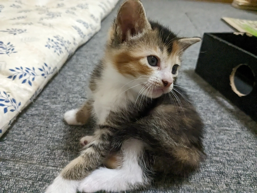 すくすく成長中です！①