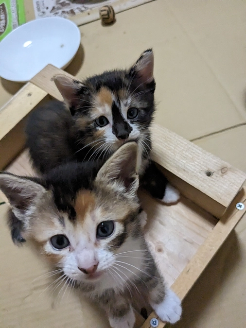 すくすく成長中です！③