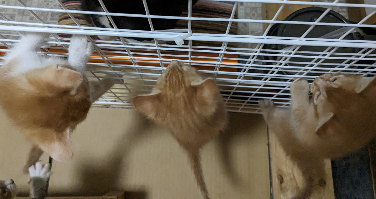 すくすく成長中です！④