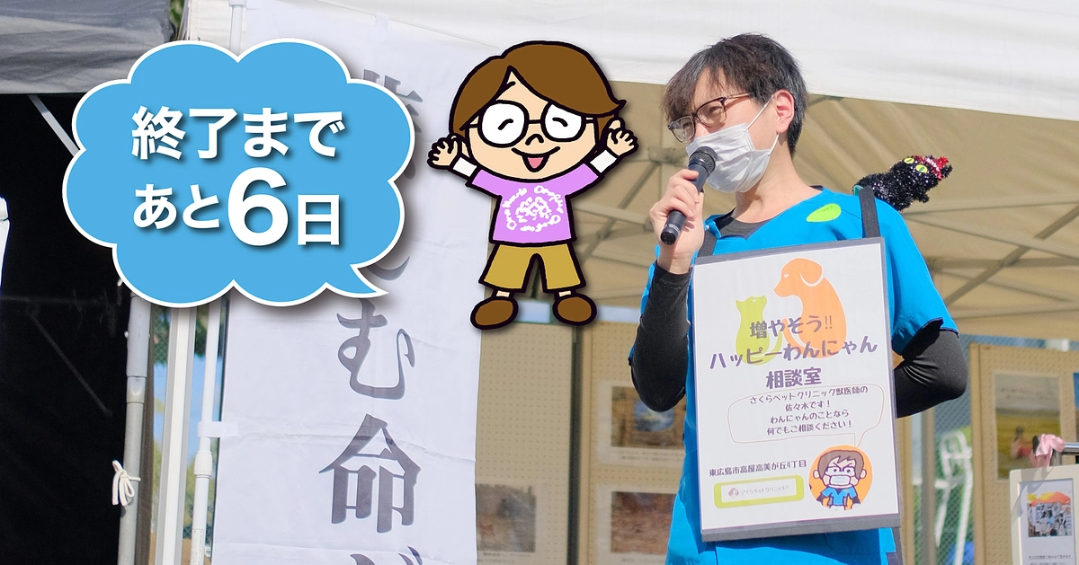 応援メッセージ　#16　「残り6日」