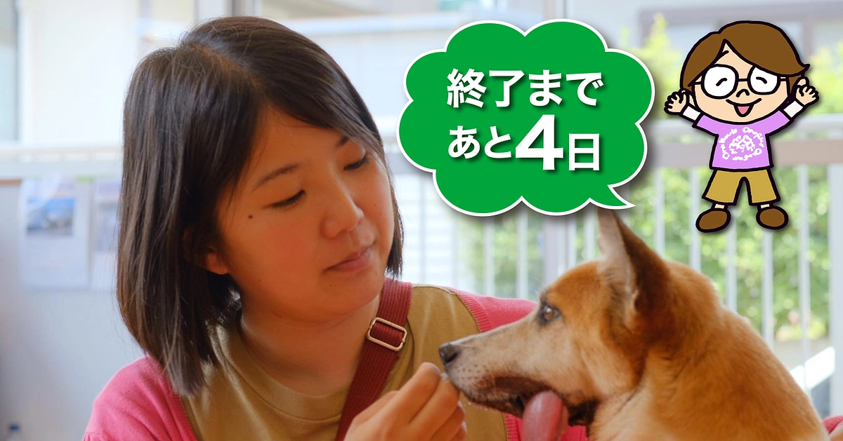 応援メッセージ　#18　「残り4日」