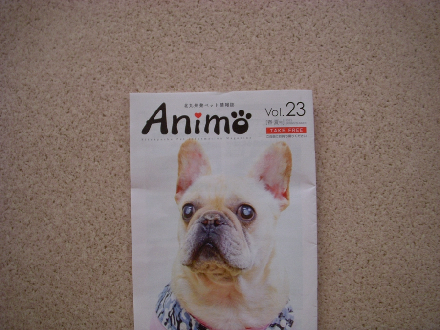 ぷここん家さん　特集されてました