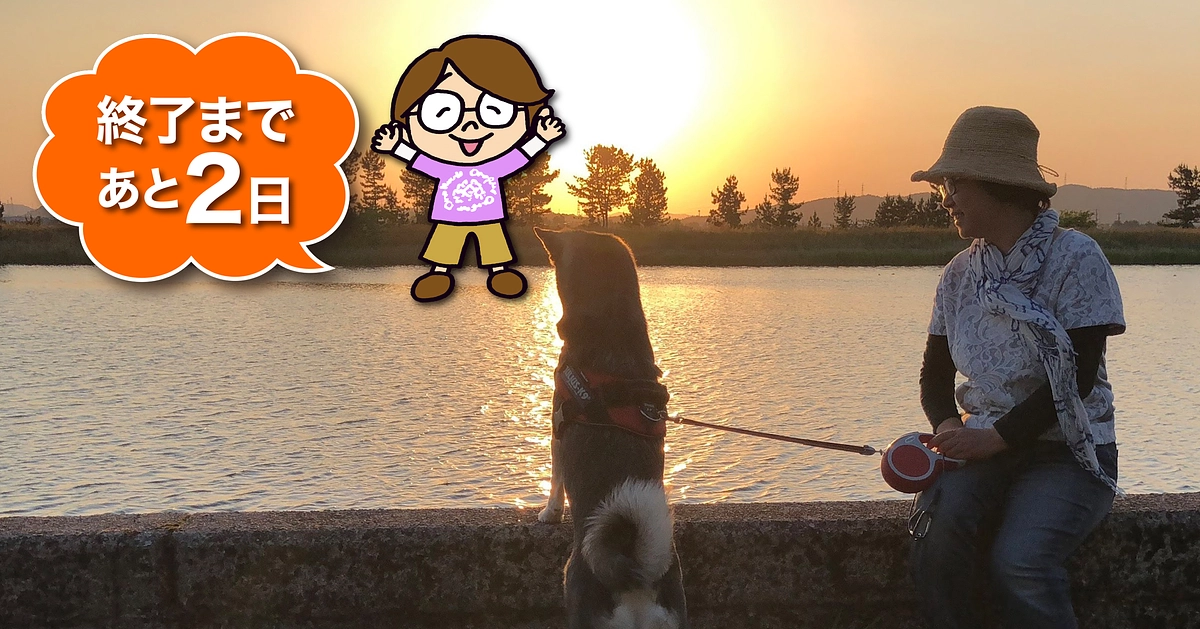 応援メッセージ　#20　「残り2日」