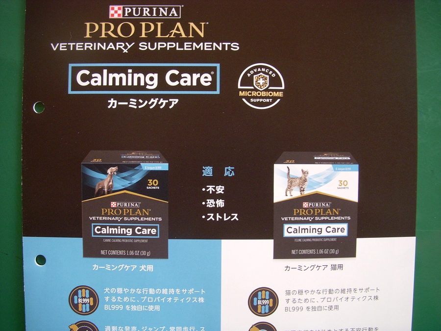 ビストロクワバラ　東京にもお店があります