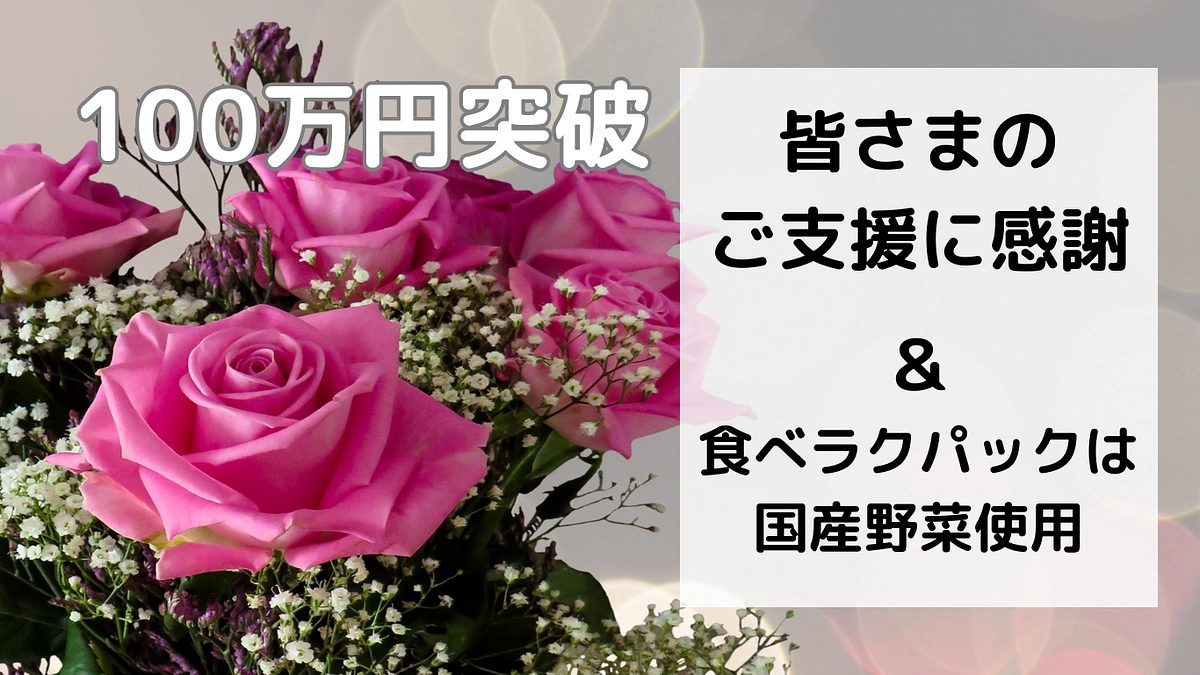 感謝！１００万円突破!!　＆   国産野菜使用vsコンビニ食品の驚き