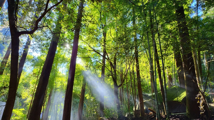 地元、文殊山に複合型アウトドアパークを作る！