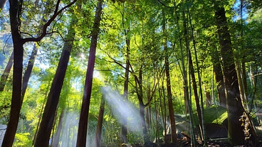 地元、文殊山に複合型アウトドアパークを作る！ のトップ画像