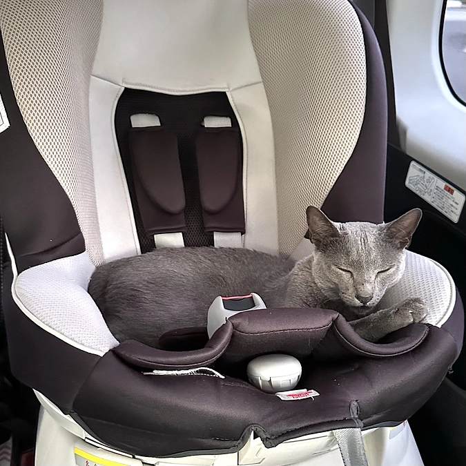 投薬67日目【通院してきました✨】