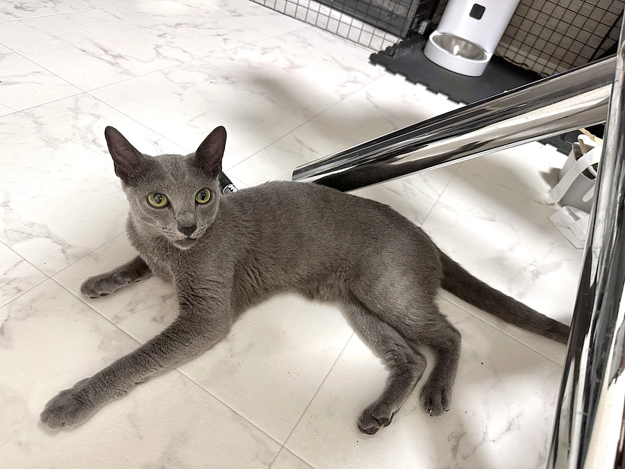 今日までの領収書🧾