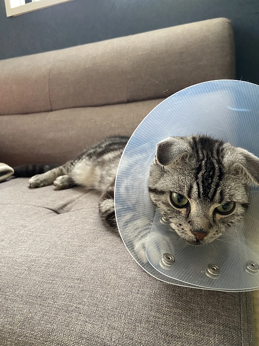 2023.7.2🔥 #闘病生活 75日目🔥