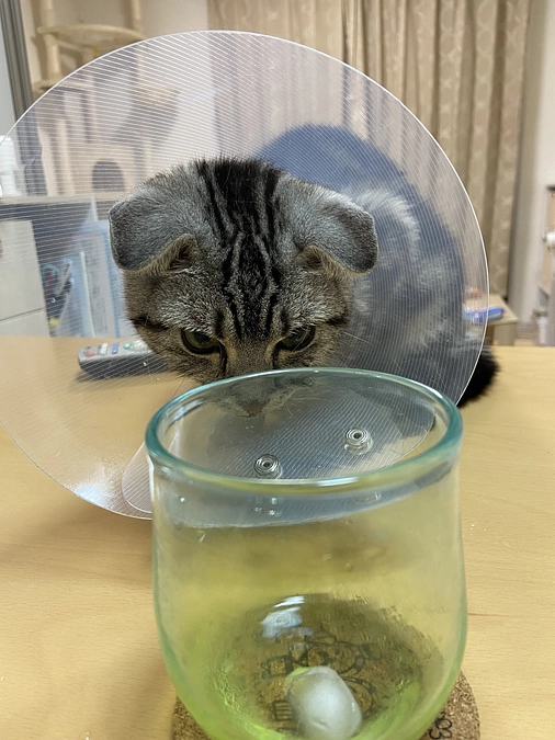 2023.7.3🔥 #闘病生活 76日目🔥