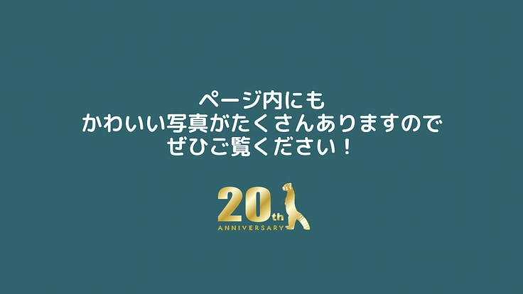 風太20th記念プロジェクト～動物たちにより豊かで幸せな日々を！～ 8枚目