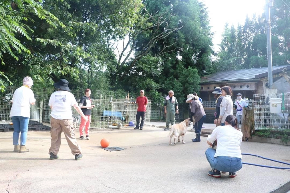 リターンのボラ体験