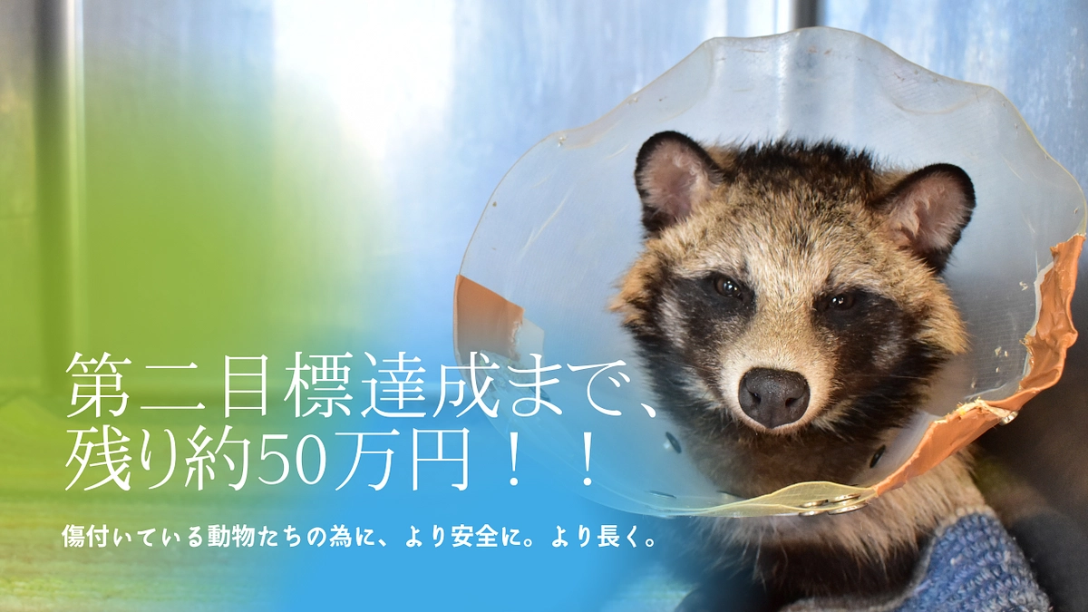 第二目標達成まで、残り約50万円！！