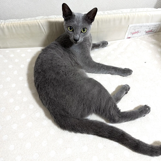 【残り1️⃣日💦】投薬81日目