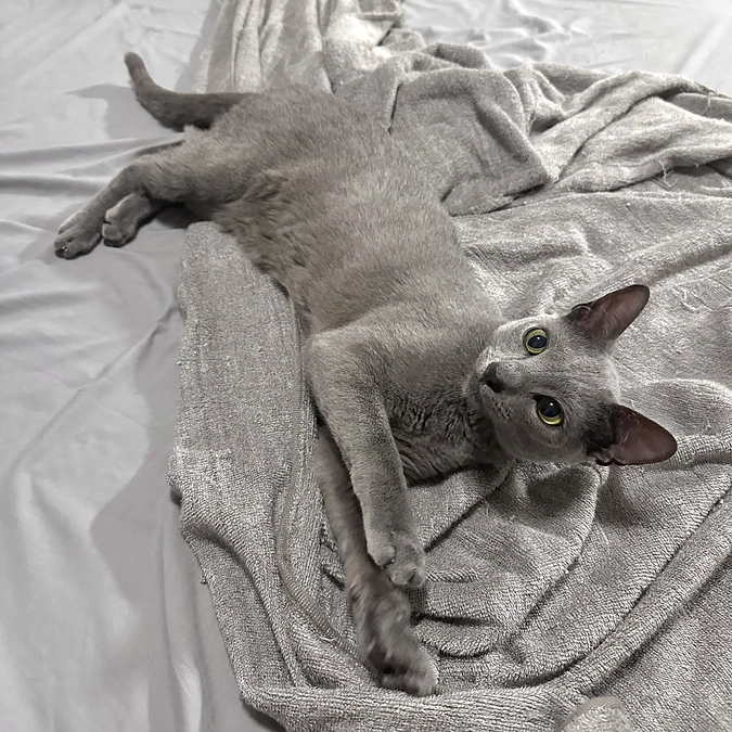 【残り6️⃣時間⏰💦】投薬82日目