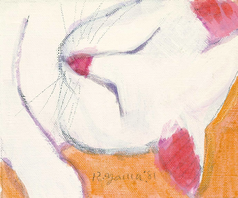 クラウドファンディング期間の終了