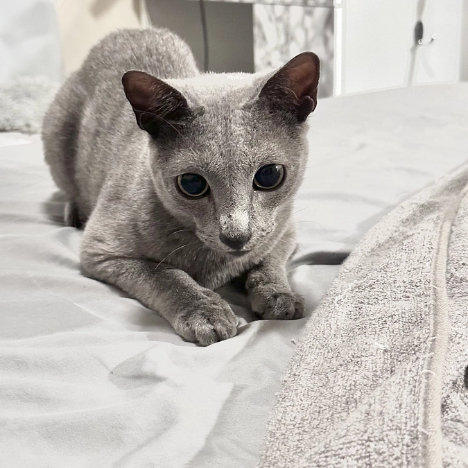 【残り4️⃣時間💦】投薬83日目