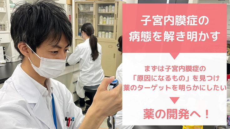 子宮内膜症と妊娠高血圧症候群の根治を目指す、治療薬の開発にご支援を 3枚目