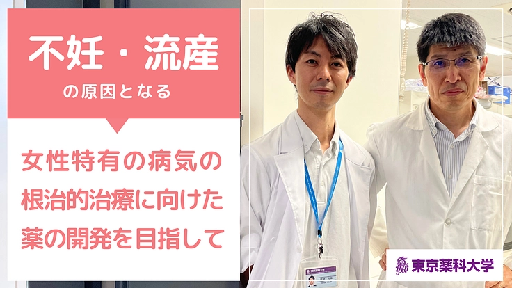 子宮内膜症と妊娠高血圧症候群の根治を目指す、治療薬の開発にご支援を