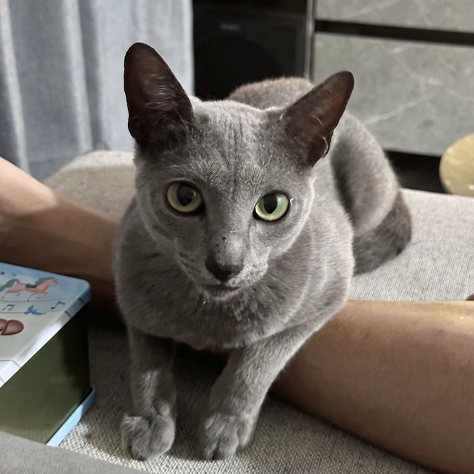 【残り5️⃣日💦】投薬77日目