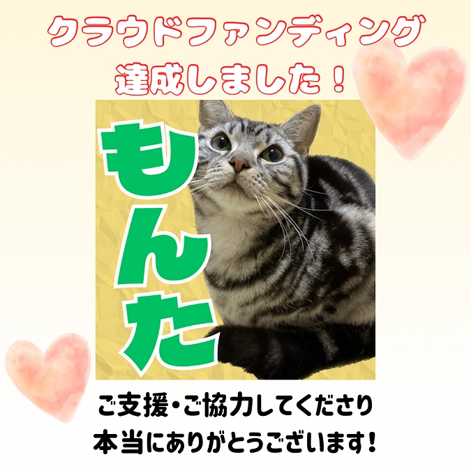 2023.7.11🔥 #闘病生活84日目🔥